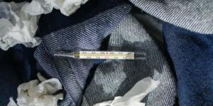 Bird flu (avian influenza): latest situation in England